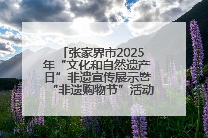 张家界市2025年“文化和自然遗产日”非遗宣传展示暨“非遗购物节”活动在慈利县盛大启幕