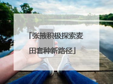 张掖积极探索麦田套种新路径