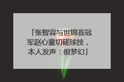 张智霖与世锦赛冠军赵心童切磋球技，本人发声：很梦幻