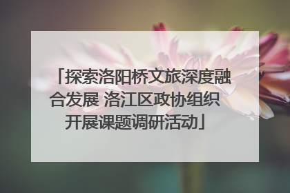 探索洛阳桥文旅深度融合发展 洛江区政协组织开展课题调研活动