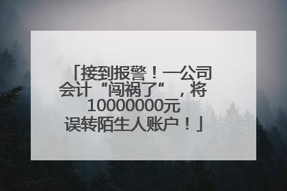 接到报警！一公司会计“闯祸了”，将10000000元误转陌生人账户！