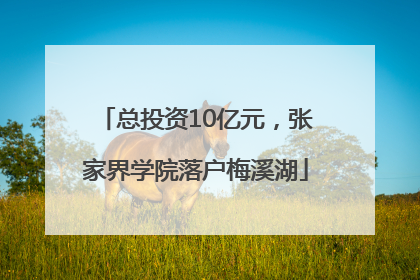 总投资10亿元，张家界学院落户梅溪湖