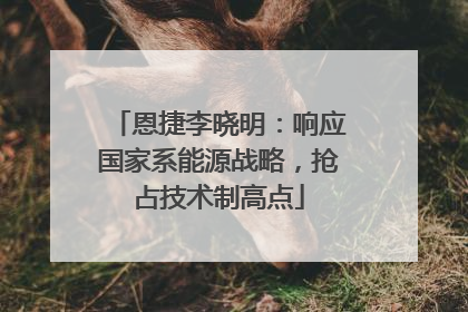恩捷李晓明：响应国家系能源战略，抢占技术制高点