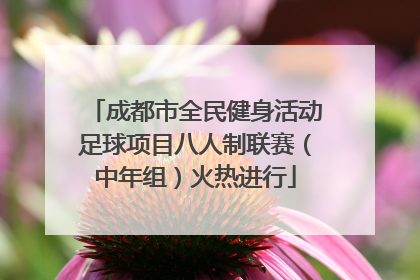 成都市全民健身活动足球项目八人制联赛（中年组）火热进行