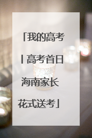 我的高考丨高考首日 海南家长花式送考
