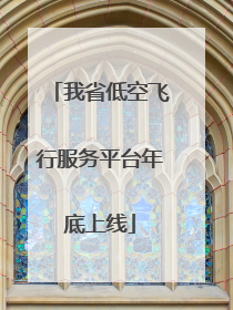 我省低空飞行服务平台年底上线