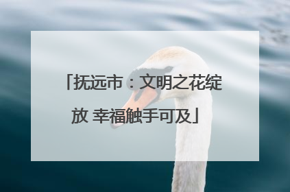 抚远市：文明之花绽放 幸福触手可及