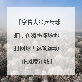 拿着大号乒乓球拍，在羽毛球场地打网球！这项运动正风靡江城