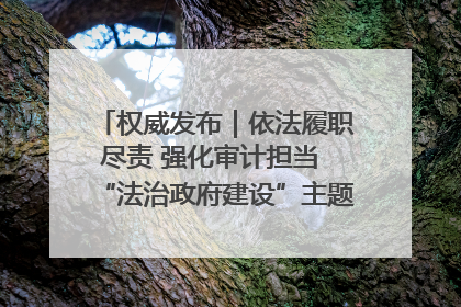 权威发布｜依法履职尽责 强化审计担当 “法治政府建设”主题系列新闻发布会市审计局专场召开