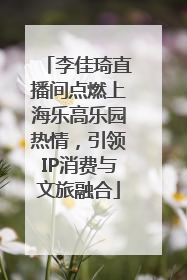 李佳琦直播间点燃上海乐高乐园热情，引领IP消费与文旅融合