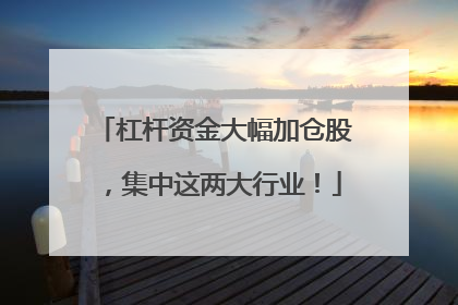 杠杆资金大幅加仓股，集中这两大行业！