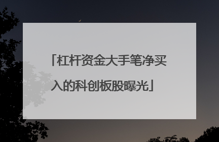 杠杆资金大手笔净买入的科创板股曝光