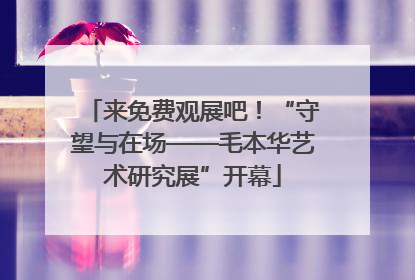 来免费观展吧！“守望与在场——毛本华艺术研究展”开幕