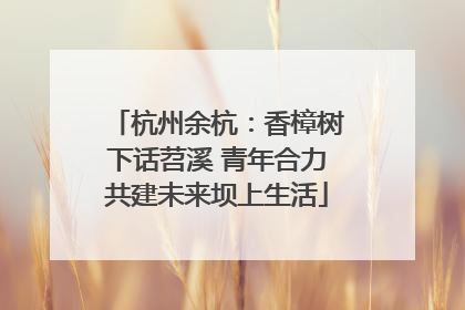 杭州余杭：香樟树下话苕溪 青年合力共建未来坝上生活
