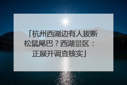 杭州西湖边有人拔断松鼠尾巴？西湖景区：正展开调查核实