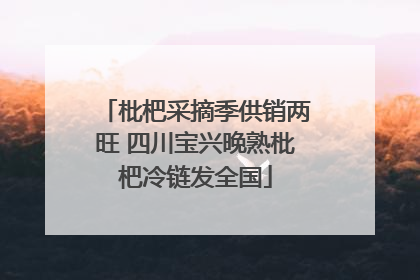 枇杷采摘季供销两旺 四川宝兴晚熟枇杷冷链发全国