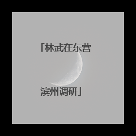 林武在东营滨州调研