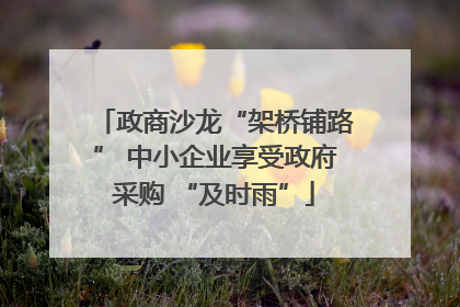 政商沙龙“架桥铺路” 中小企业享受政府采购 “及时雨”