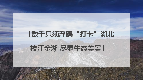 数千只须浮鸥“打卡”湖北枝江金湖 尽显生态美景