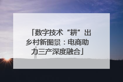 数字技术“耕”出乡村新图景：电商助力三产深度融合