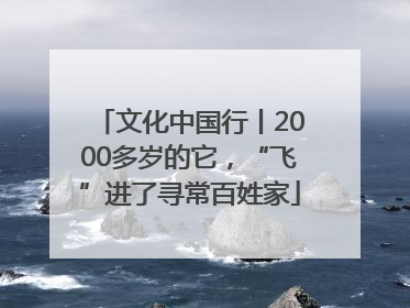 文化中国行丨2000多岁的它，“飞”进了寻常百姓家