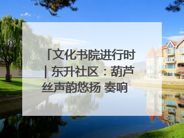 文化书院进行时｜东升社区：葫芦丝声韵悠扬 奏响文化和谐曲