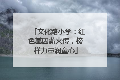 文化路小学：红色基因薪火传，榜样力量润童心