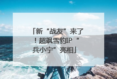 新“战友”来了！超飒雪豹IP“兵小宁”亮相