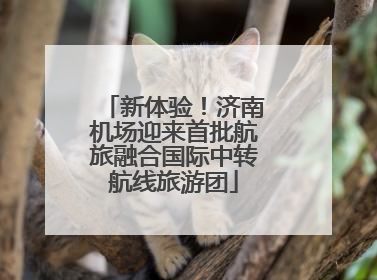 新体验！济南机场迎来首批航旅融合国际中转航线旅游团