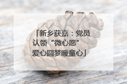 新乡获嘉：党员认领“微心愿” 爱心圆梦暖童心