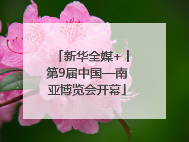 新华全媒+丨第9届中国—南亚博览会开幕