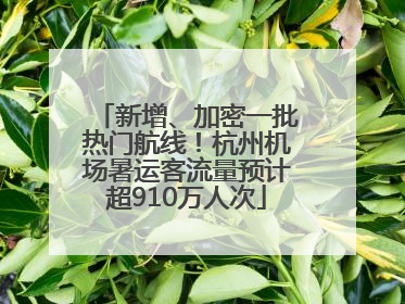 新增、加密一批热门航线！杭州机场暑运客流量预计超910万人次