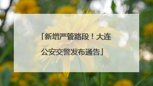 新增严管路段！大连公安交警发布通告