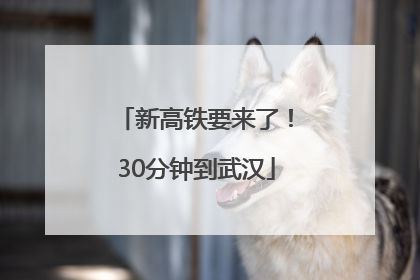 新高铁要来了！30分钟到武汉