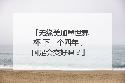 无缘美加墨世界杯 下一个四年，国足会变好吗？