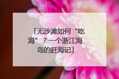 无沙滩如何“吃海”？一个浙江海岛的赶海记
