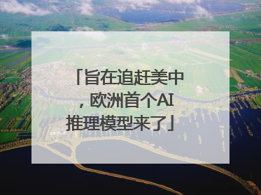 旨在追赶美中，欧洲首个AI推理模型来了