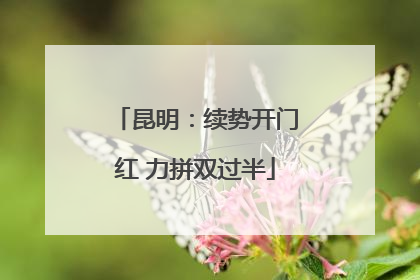 昆明：续势开门红 力拼双过半