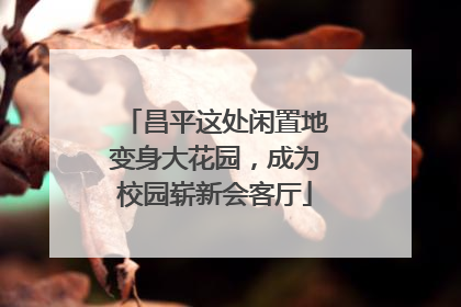 昌平这处闲置地变身大花园，成为校园崭新会客厅