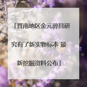 晋南地区金元葬具研究有了新实物标本 最新挖掘资料公布