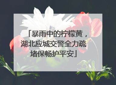 暴雨中的柠檬黄，湖北应城交警全力疏堵保畅护平安