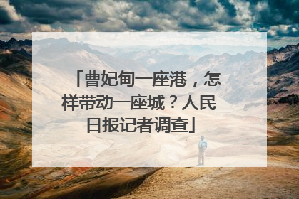 曹妃甸一座港，怎样带动一座城？人民日报记者调查