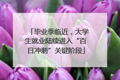 毕业季临近，大学生就业陆续进入“百日冲刺”关键阶段