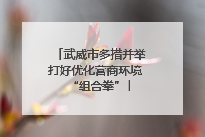 武威市多措并举打好优化营商环境“组合拳”