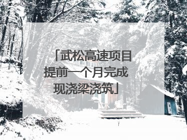 武松高速项目提前一个月完成现浇梁浇筑