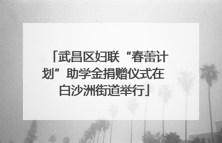 武昌区妇联“春蕾计划”助学金捐赠仪式在白沙洲街道举行