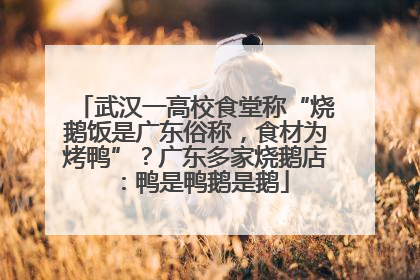 武汉一高校食堂称“烧鹅饭是广东俗称，食材为烤鸭”？广东多家烧鹅店：鸭是鸭鹅是鹅