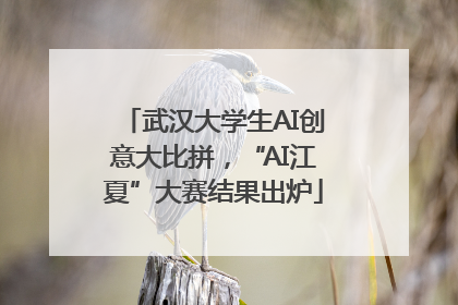 武汉大学生AI创意大比拼，“AI江夏”大赛结果出炉