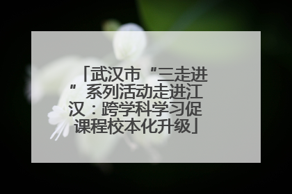武汉市“三走进”系列活动走进江汉：跨学科学习促课程校本化升级