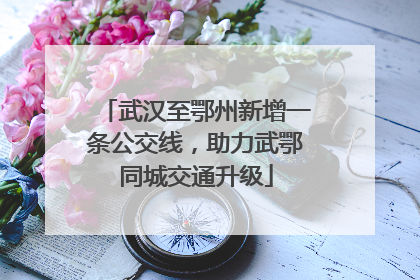 武汉至鄂州新增一条公交线，助力武鄂同城交通升级